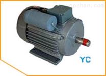 YY(DO2)单值电容单相异步电动机