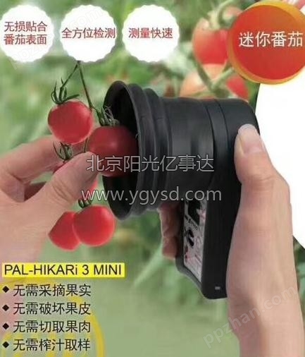 产品名称： PAL-HIKARi 3（迷你番茄）无损糖度计