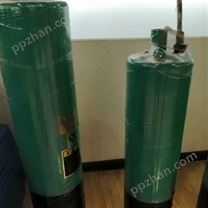 排污泵QW系列