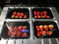 草莓真空气调包装机