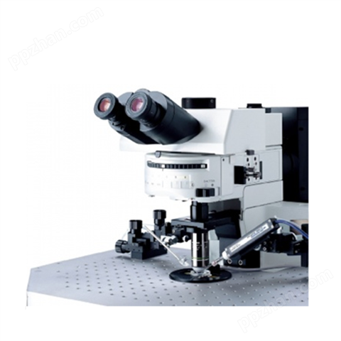 奥林巴斯电生理学显微镜BX61WI/BX51WI