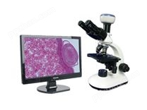 光學顯微鏡及成像設備