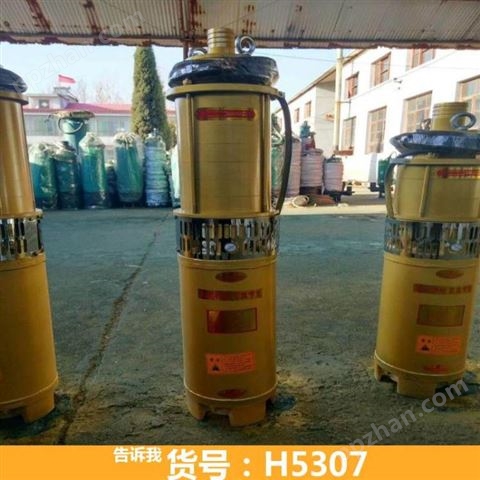 不锈钢潜水泵 消防潜水泵 卧式潜水泵货号H5307