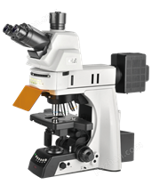 NE930-FL电动荧光显微镜