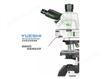 YB710/YB730/YB750FL 科研级生物显微镜