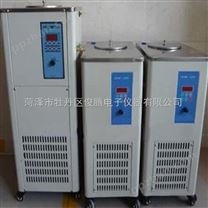 DLSB-20/20（20L-20℃）型低温冷却液循环泵价格