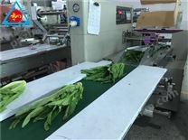 蔬菜包装机
