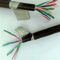 低烟无卤阻燃铁路信号电缆WDZC-PTYA23