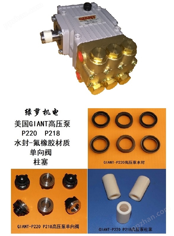 GIANT---P220 P218 高压泵 及配件.jpg