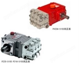 GIANT-316不锈钢高压泵 P220-5100  P420A-5100