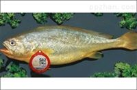 鱼类水产品防伪及溯源管理