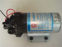 DP-60微型电动隔膜泵
